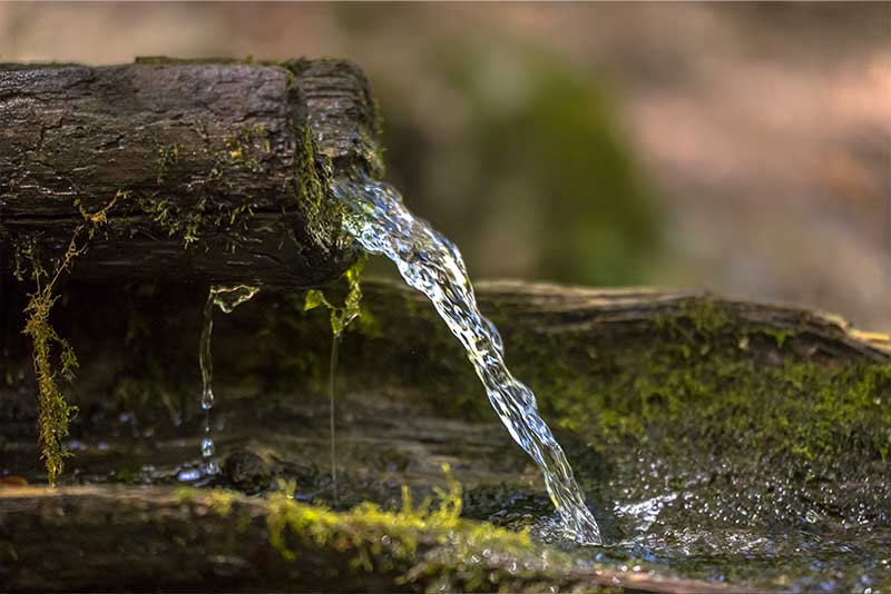 Seres elementais: aprenda a se conectar com os 4 elementos da natureza